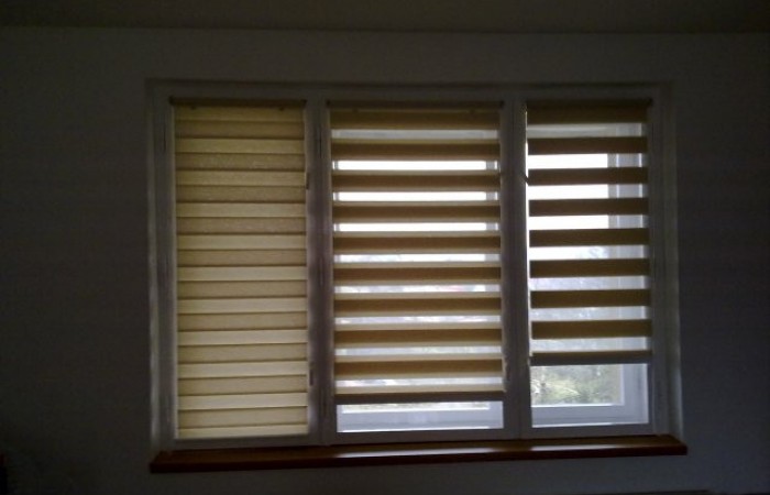 Dzień-Noc Wolnopwisząca 2